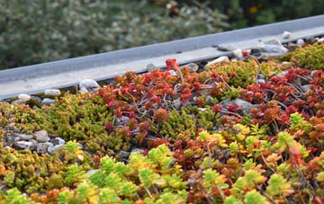 the cost of Aston green roof installation