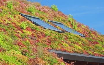 Aston living roof systems