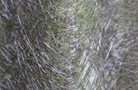 Aston fibreglass roof work